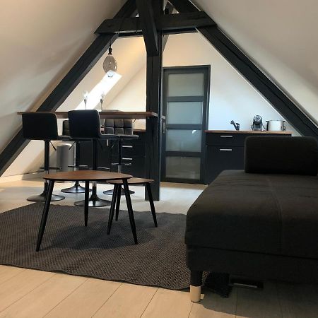 Apartmán Cocoon Loft Colmar Exteriér fotografie