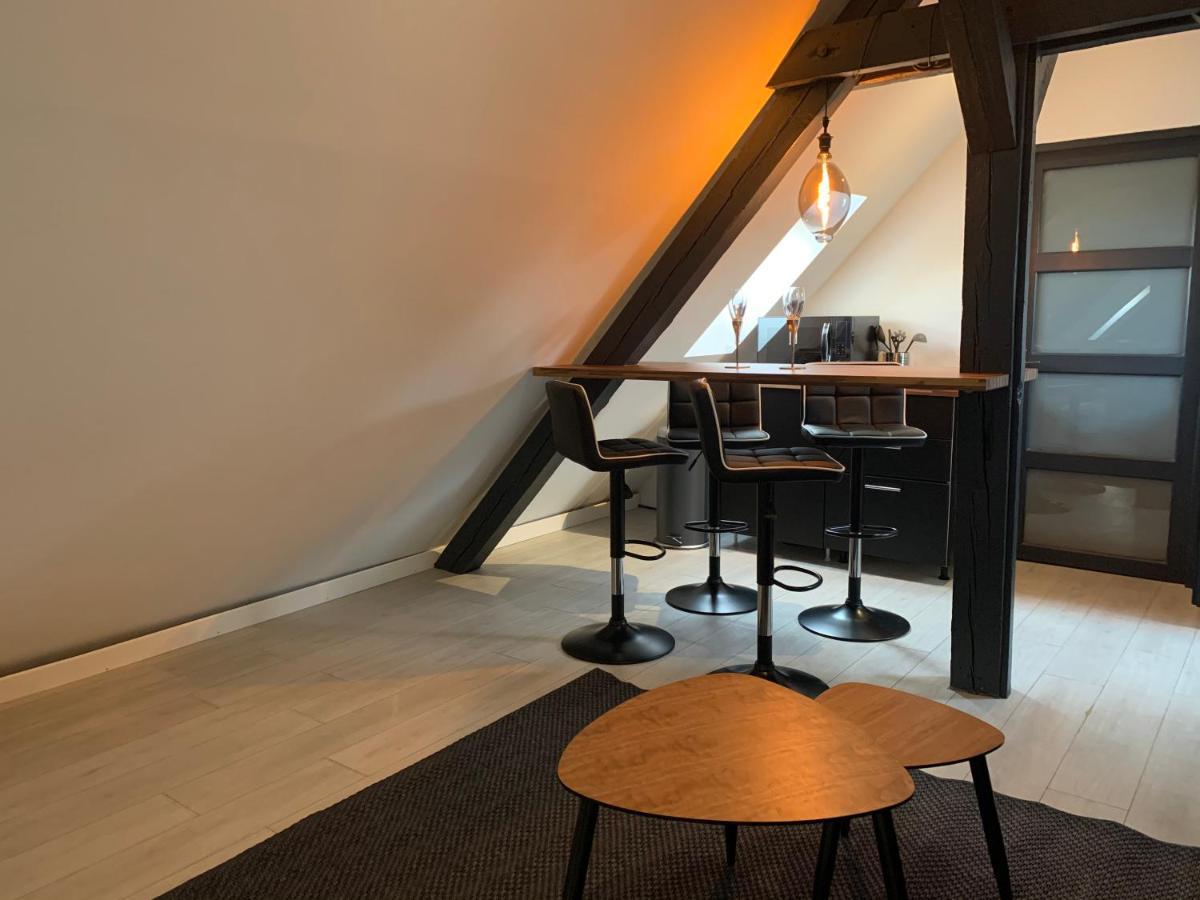Apartmán Cocoon Loft Colmar Exteriér fotografie