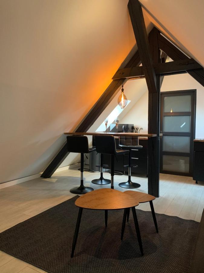 Apartmán Cocoon Loft Colmar Exteriér fotografie